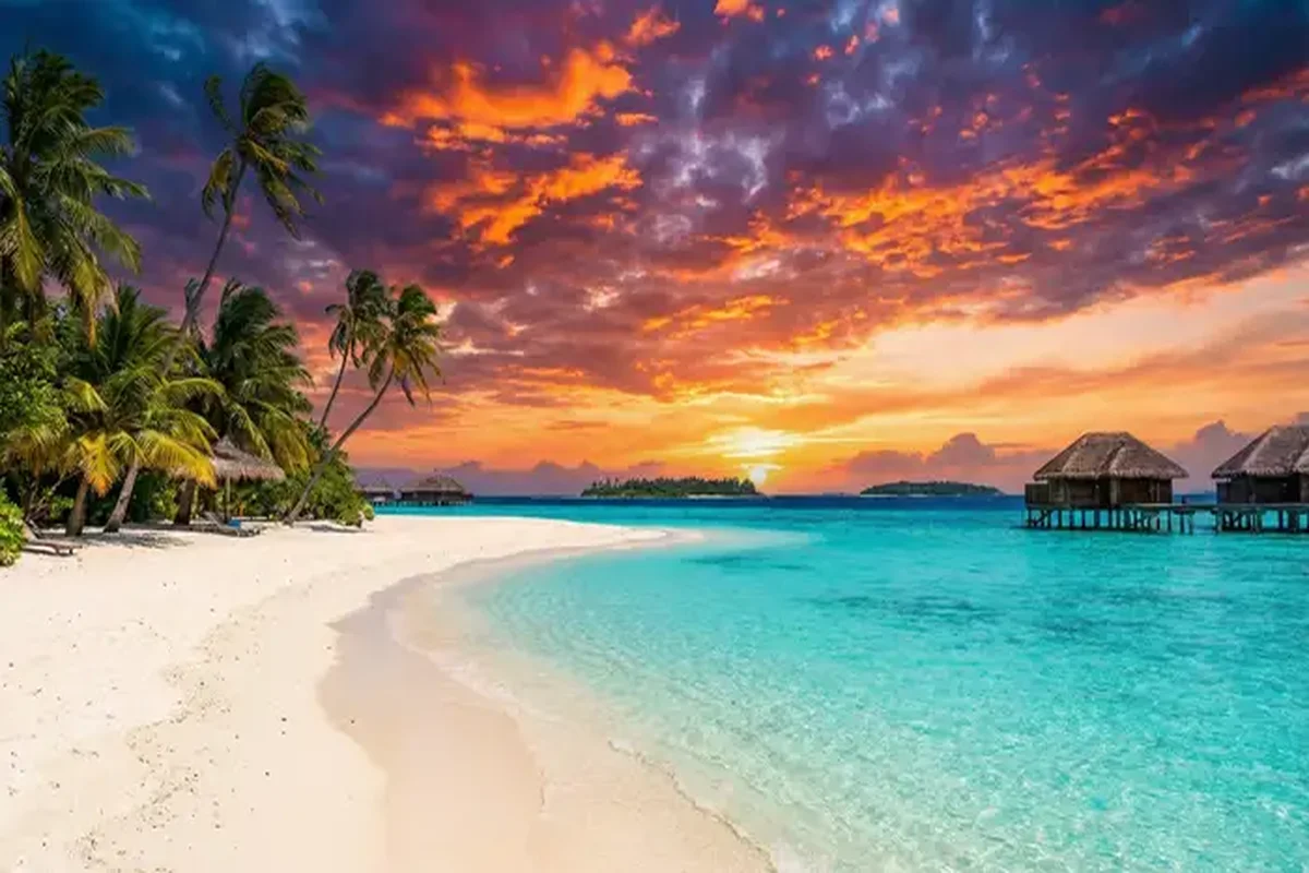 萝莉岛栏目热带海岛风光横幅